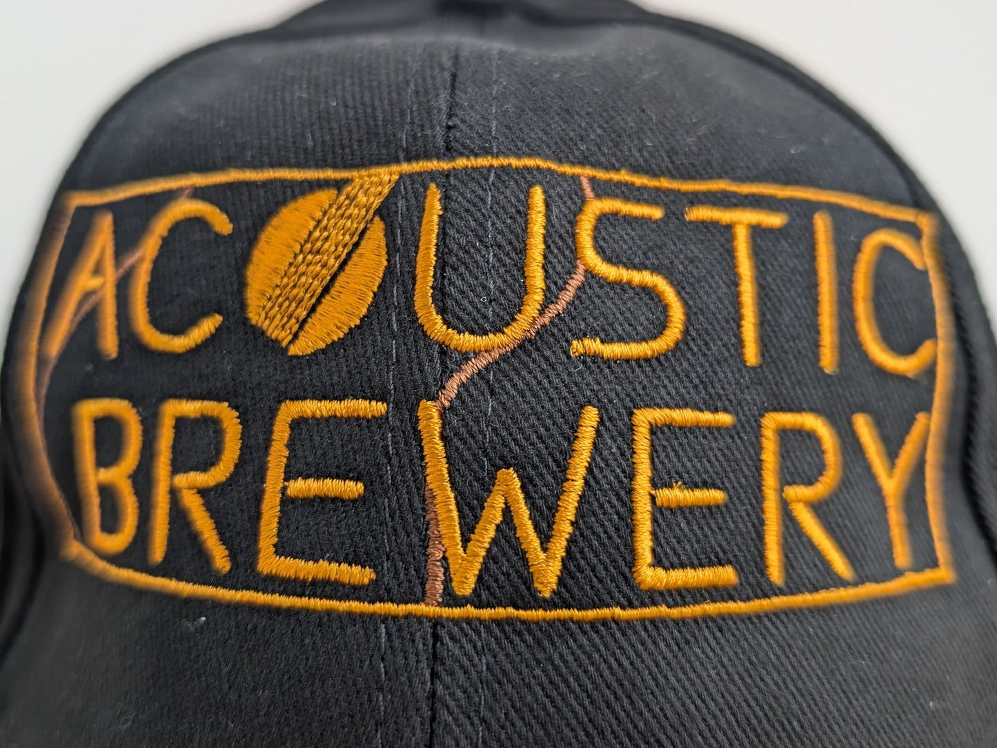 Acoustic Embroidered Cotton Cap